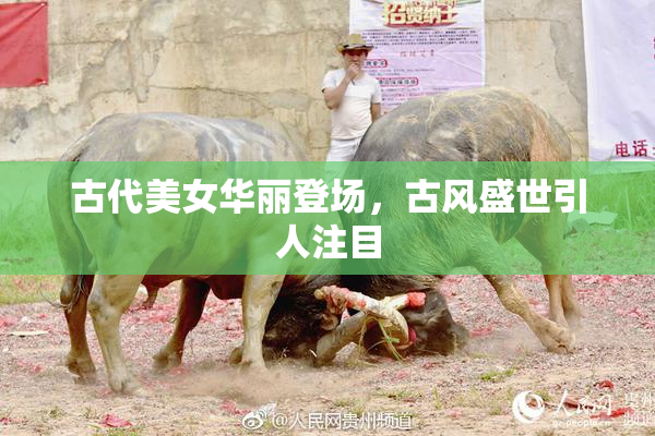 古代美女华丽登场，古风盛世引人注目