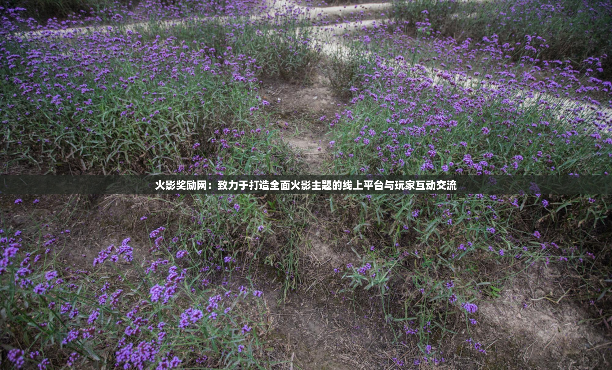 火影奖励网：致力于打造全面火影主题的线上平台与玩家互动交流