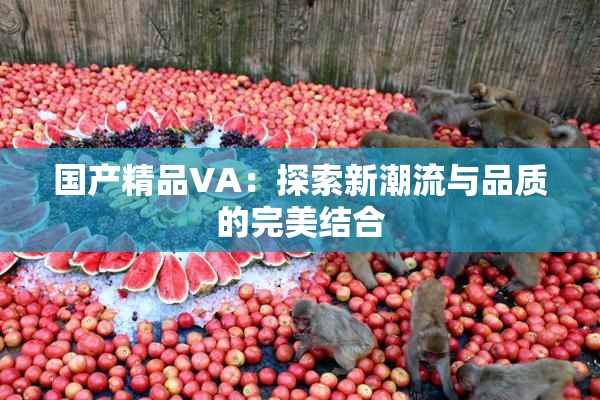 国产精品VA：探索新潮流与品质的完美结合