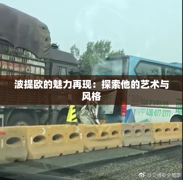 波提欧的魅力再现：探索他的艺术与风格