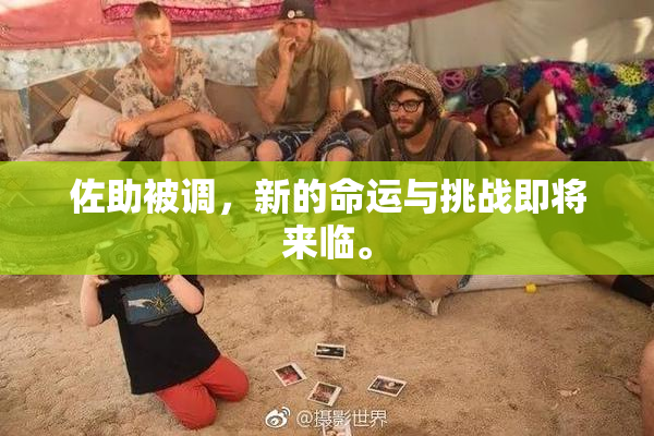 佐助被调，新的命运与挑战即将来临。