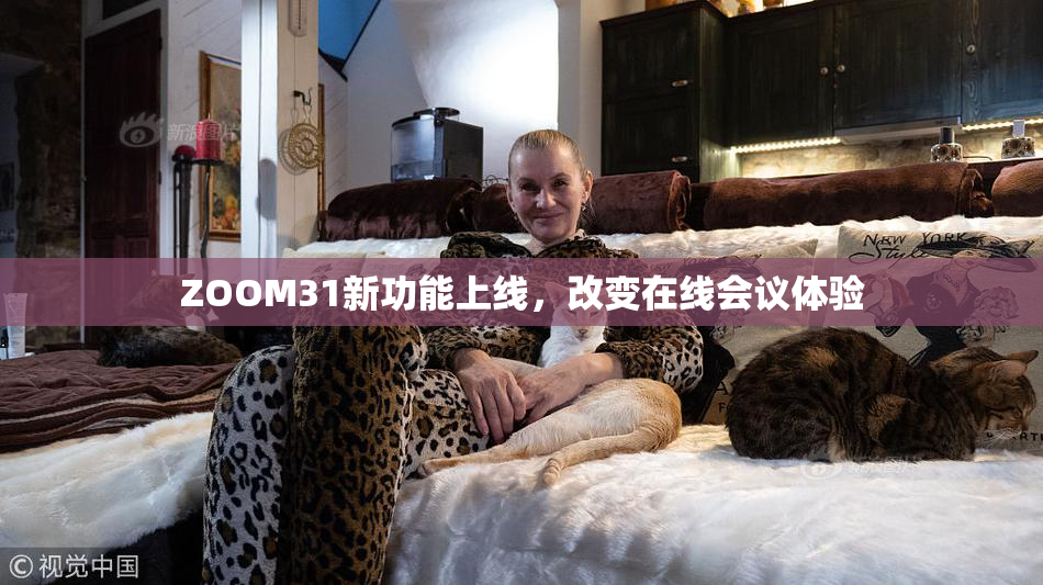 ZOOM31新功能上线，改变在线会议体验