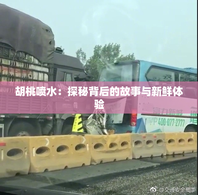 胡桃喷水：探秘背后的故事与新鲜体验