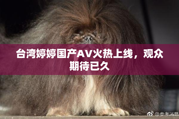 台湾婷婷国产AV火热上线，观众期待已久