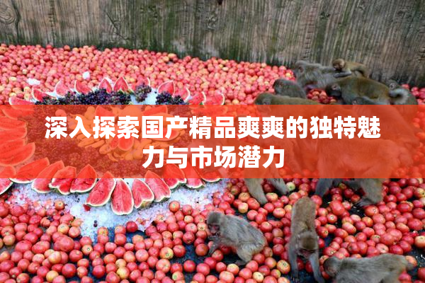 深入探索国产精品爽爽的独特魅力与市场潜力
