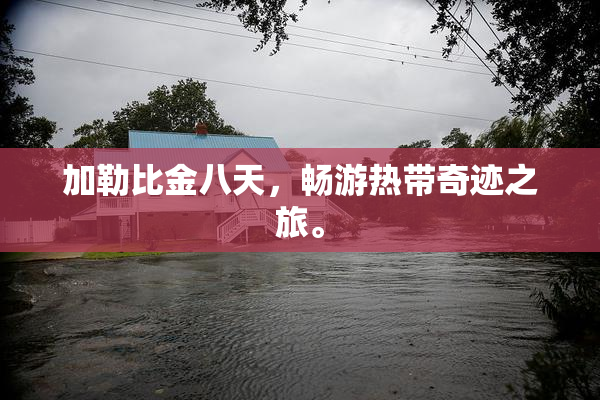 加勒比金八天，畅游热带奇迹之旅。