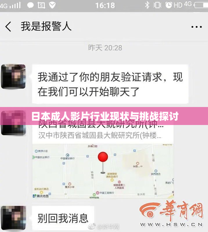 日本成人影片行业现状与挑战探讨