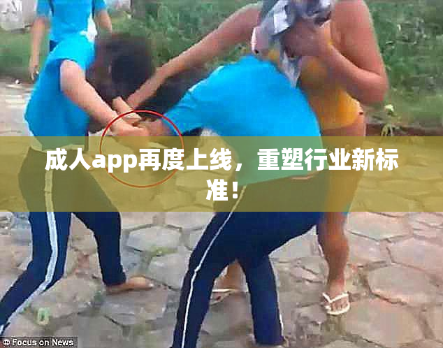 成人app再度上线，重塑行业新标准！