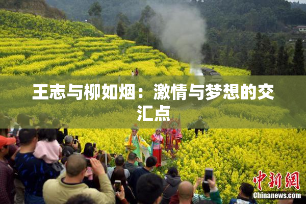 王志与柳如烟：激情与梦想的交汇点