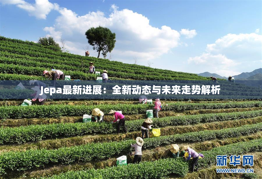 Jepa最新进展：全新动态与未来走势解析