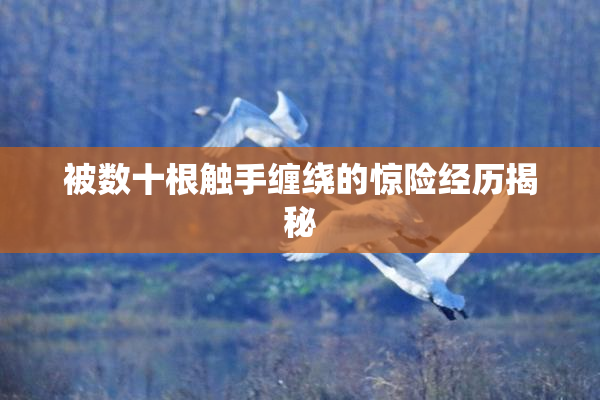 被数十根触手缠绕的惊险经历揭秘