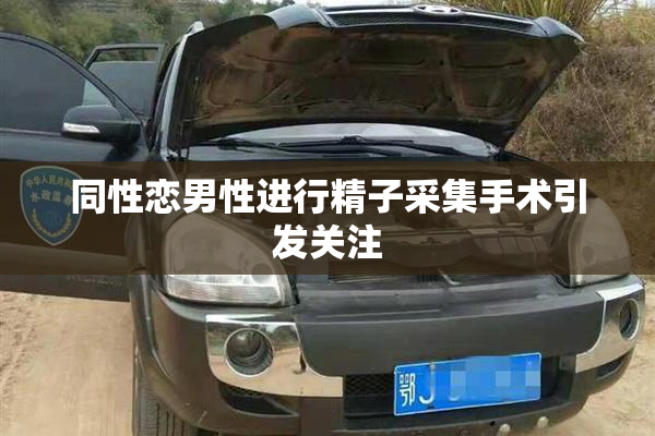 同性恋男性进行精子采集手术引发关注