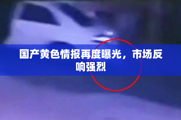国产黄色情报再度曝光，市场反响强烈