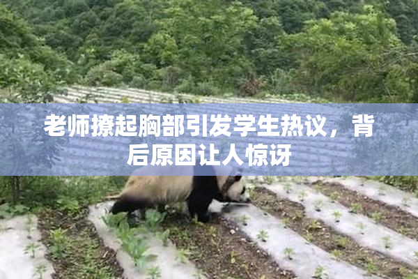 老师撩起胸部引发学生热议，背后原因让人惊讶