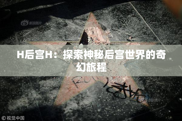 H后宫H：探索神秘后宫世界的奇幻旅程