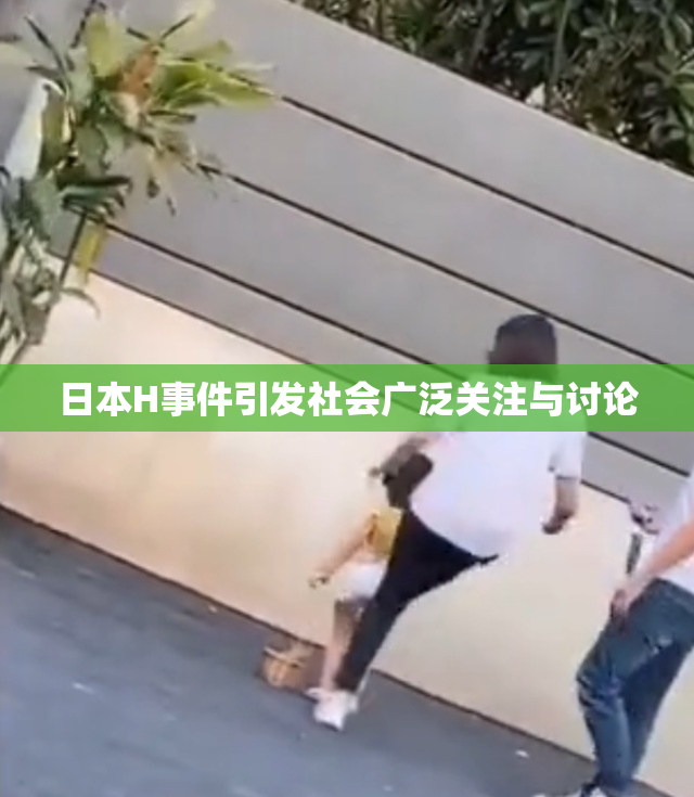 日本H事件引发社会广泛关注与讨论