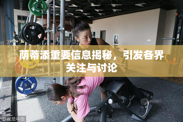 荫蒂添重要信息揭秘，引发各界关注与讨论