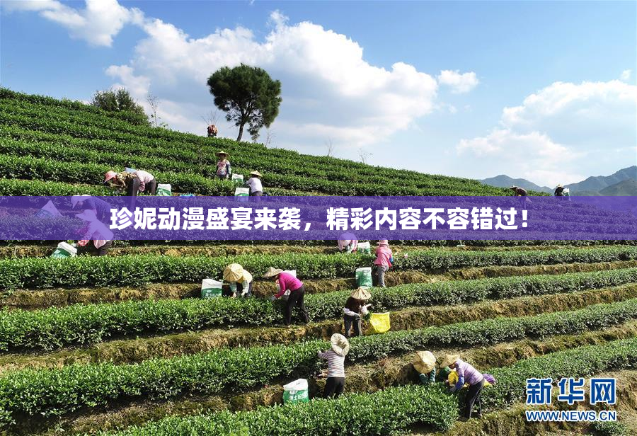 珍妮动漫盛宴来袭，精彩内容不容错过！