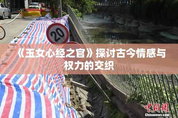 《玉女心经之官》探讨古今情感与权力的交织