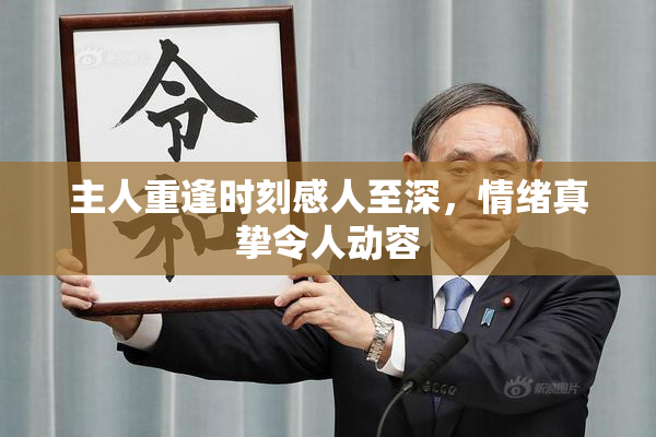 主人重逢时刻感人至深，情绪真挚令人动容