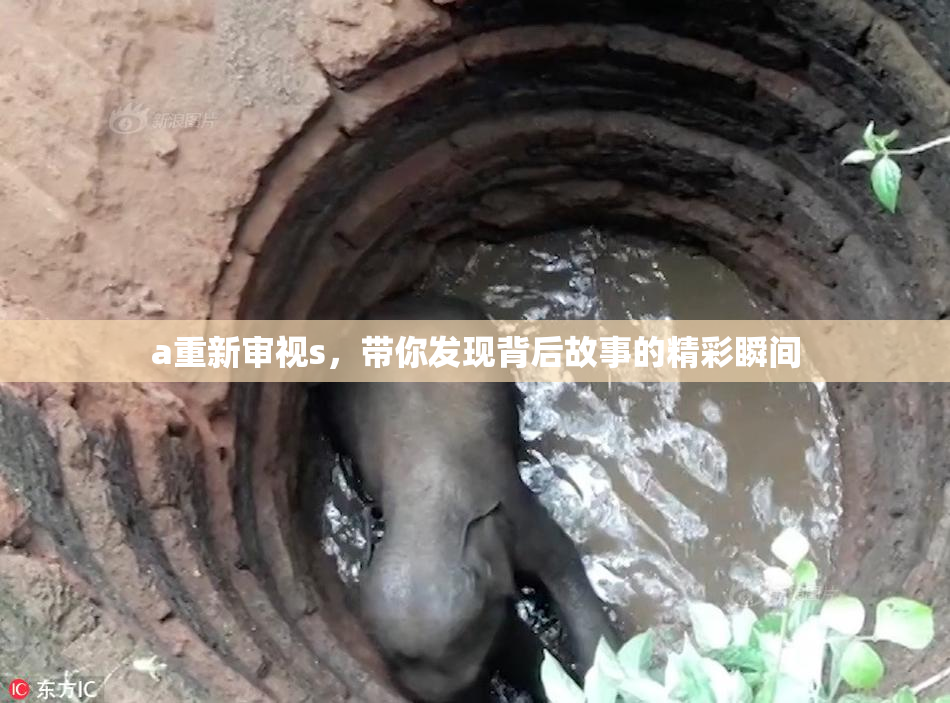 a重新审视s，带你发现背后故事的精彩瞬间
