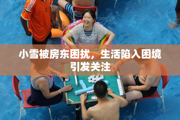小雪被房东困扰，生活陷入困境引发关注