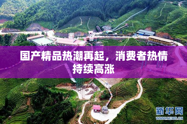 国产精品热潮再起，消费者热情持续高涨