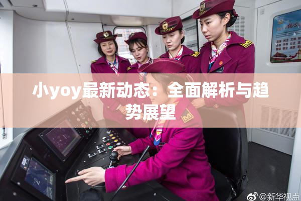 小yoy最新动态：全面解析与趋势展望