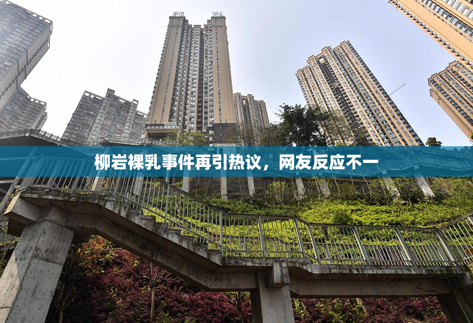 柳岩裸乳事件再引热议，网友反应不一