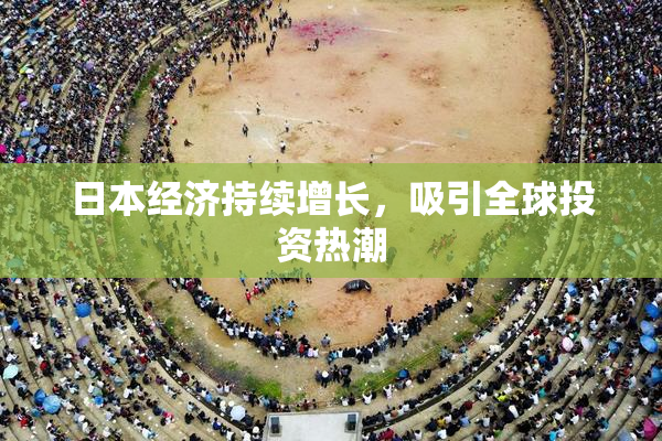 日本经济持续增长，吸引全球投资热潮