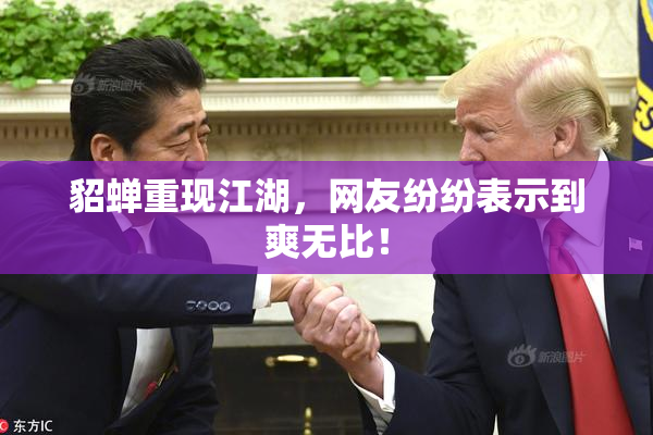 貂蝉重现江湖，网友纷纷表示到爽无比！