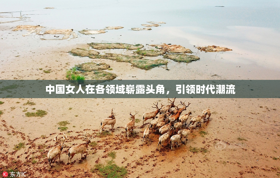 中国女人在各领域崭露头角，引领时代潮流