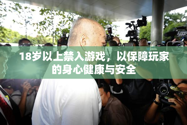 18岁以上禁入游戏，以保障玩家的身心健康与安全
