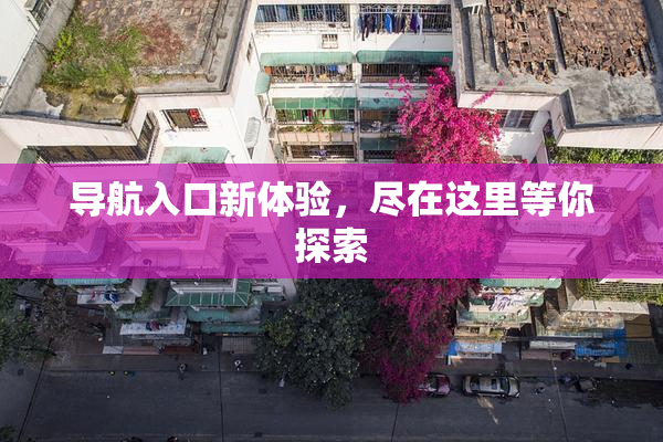 导航入口新体验，尽在这里等你探索
