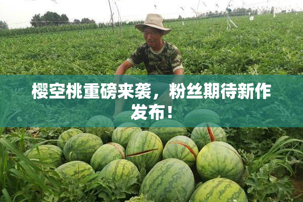 樱空桃重磅来袭，粉丝期待新作发布！