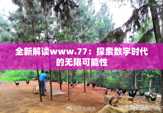 全新解读www.77：探索数字时代的无限可能性