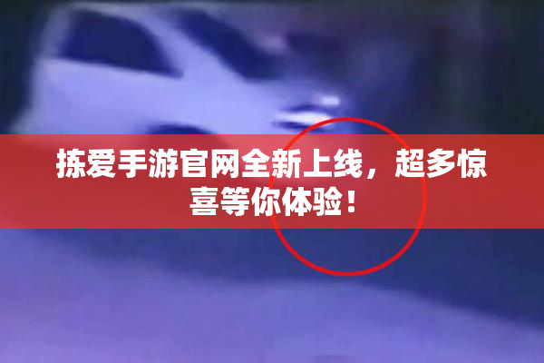 拣爱手游官网全新上线，超多惊喜等你体验！