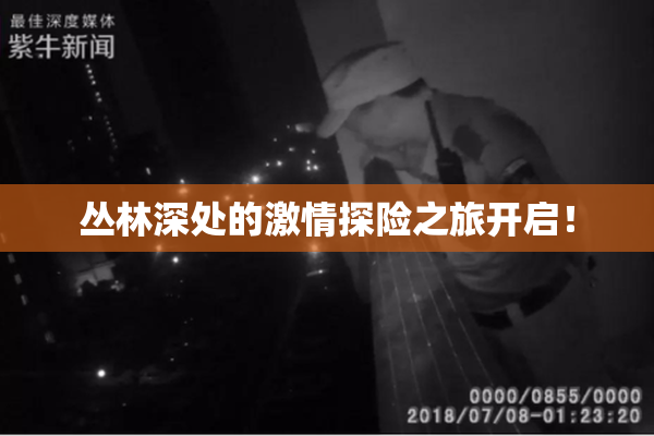 丛林深处的激情探险之旅开启！