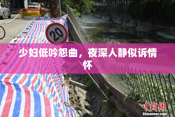 少妇低吟怨曲，夜深人静似诉情怀