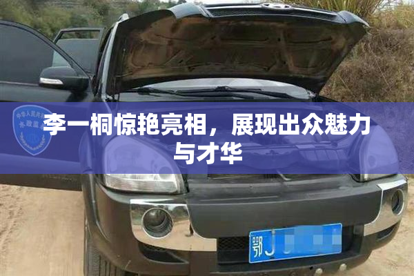 李一桐惊艳亮相，展现出众魅力与才华