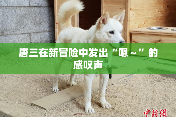 唐三在新冒险中发出“嗯～”的感叹声