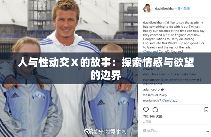 人与性动交Ⅹ的故事：探索情感与欲望的边界