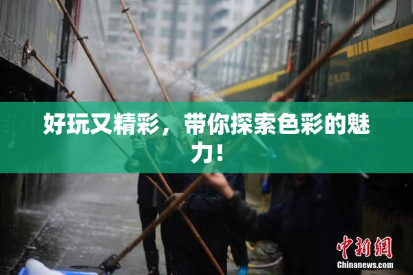 好玩又精彩，带你探索色彩的魅力！
