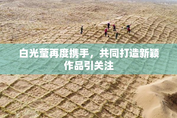白光莹再度携手，共同打造新颖作品引关注