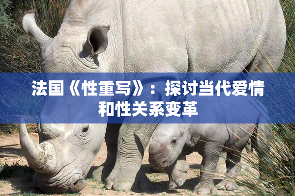 法国《性重写》：探讨当代爱情和性关系变革