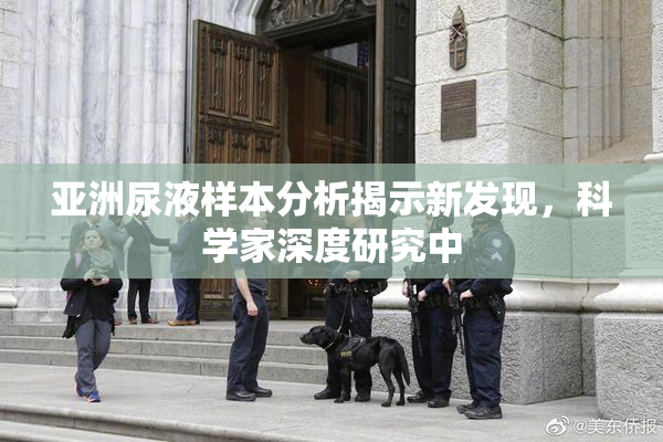 亚洲尿液样本分析揭示新发现，科学家深度研究中