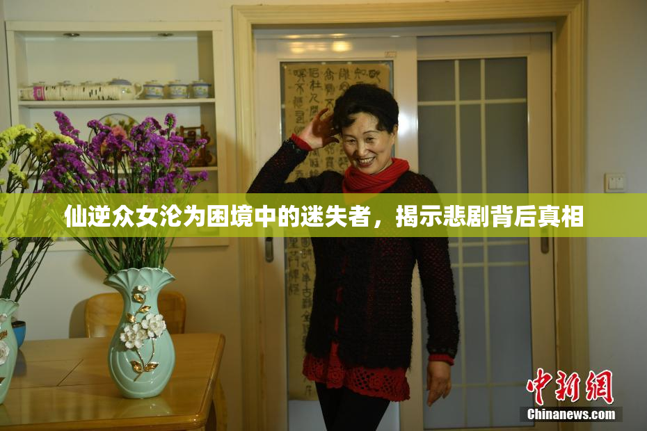 仙逆众女沦为困境中的迷失者，揭示悲剧背后真相