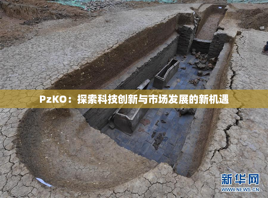PzKO：探索科技创新与市场发展的新机遇