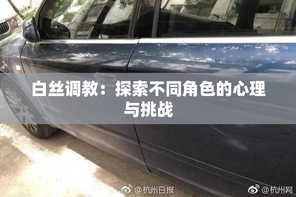 白丝调教：探索不同角色的心理与挑战