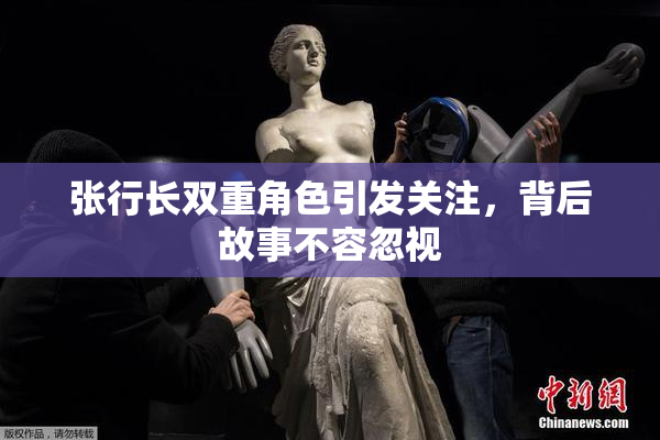 张行长双重角色引发关注，背后故事不容忽视